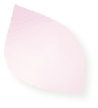 桜花びら
