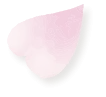 桜花びら