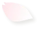 桜花びら